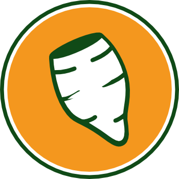 TropiRoots - Nuestro Producto